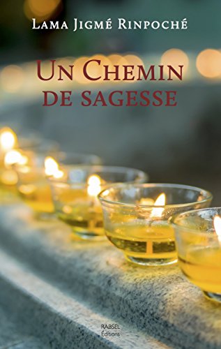 Télécharger Un chemin de sagesse Gratuit