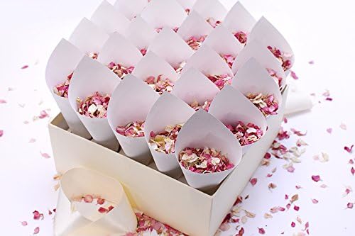 25 CONFETTI CONES WITH BOX/STAND - NATURAL DRIED DELPHINIUM FLOWER PETAL WEDDING CONFETTI - BIODEGRADABLE (PASTEL BLUE &amp; IVORY)