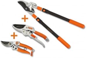 GARTENPAUL 3er Set: Teleskop Astschere Bypass + Ratschengartenschere + Damengartenschere