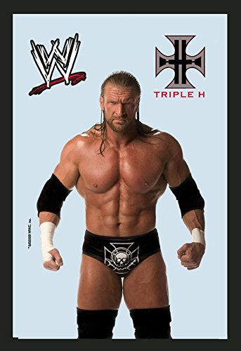 WWE Spiegel Triple H - Bedruckter Spiegel (20cm x 30cm)