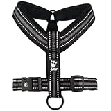 Hurtta, gepolstertes Y-Geschirr 2