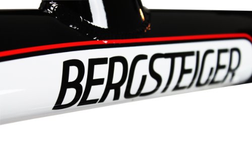 Bergsteiger Alu-Mountainbike 28 Zoll /MTX.280/, Scheibenbremse, 21 Gang Shimano Altus, vollgefedert - 3