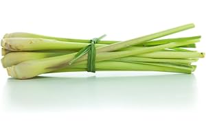 KOALAKOI Asian Lemongrass fresh 100g
