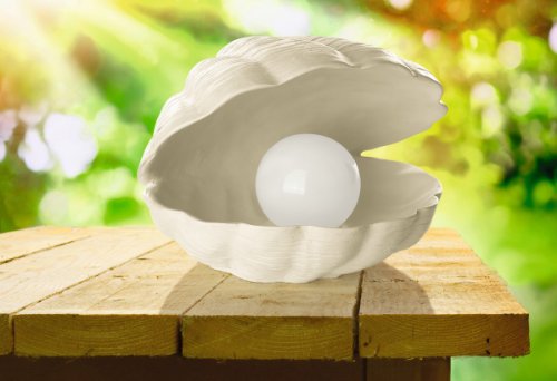 TV Unser Original solarzauber Leuchtmuschel mit Perle 08616 - 4