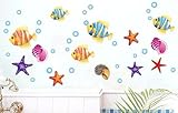 DecoBay Colourful fish, star fish and sea shell wall stickers, home art decoration - Adhesive Removable Wall Stickers Bathroom Wall Stickers