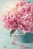 Augenblick 2019 by 