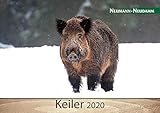 Keiler 2020 by 