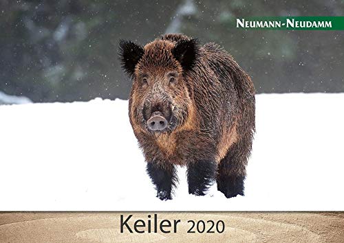 Keiler 2020