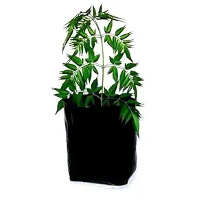 PLANT CARE UV Protected Plastic Poly Grow Plant Bag - (Black, 4 inch Width X 5 inch Height) (600)