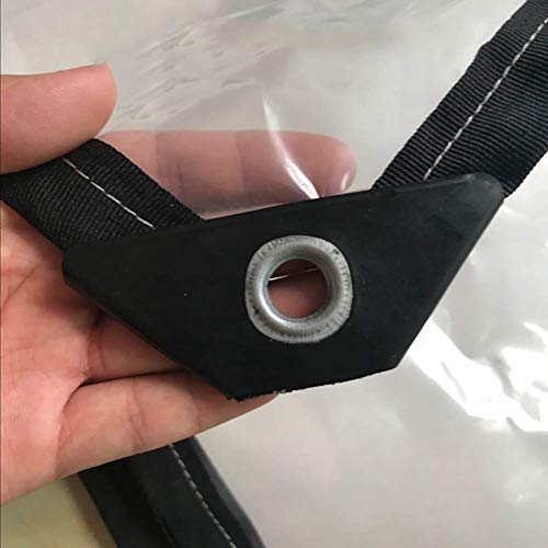 Preisvergleich Produktbild IDWOI Gartenmöbelabdeckungen Transparente Plane Blatt Anti-Aging Rip Stop Leichter Kunststoff Pflanzenschutzhülle (größe : 3X5M)