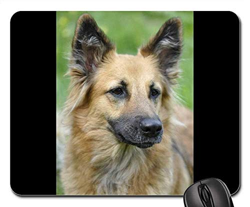 Preisvergleich Produktbild Mauspads - Hundetierporträt-Hauptmelancholischer Freund
