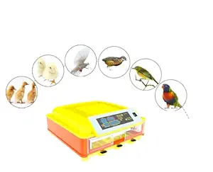 TM&W-(HHD) Rolling tray 46 egg hatching machine mini egg incubator machine automatic .