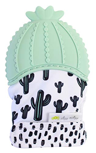 Preisvergleich Produktbild Itzy Ritzy - Baby Beißhandschuh - Kaktus