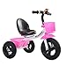 Produktbild Fahrrad der Kinder Dreirad-Leichtgewichtler einfaches Innenhallentagesrad 1-5 jährigen Kohlenstoffstahlrosas