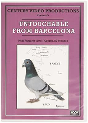 Untouchable from Barcelona - Racing Pigeons