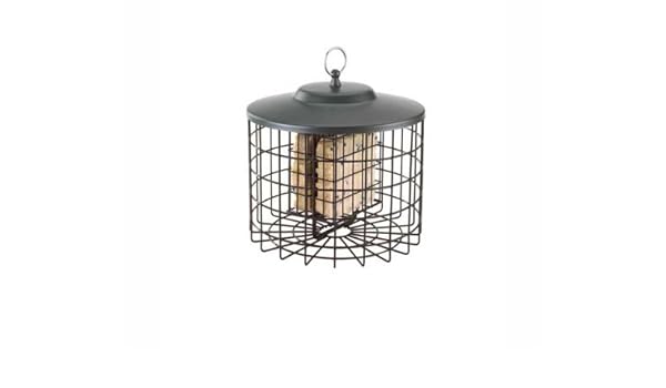 Squirrel Proof Double Suet Bird Feeder Amazon In Garden Outdoors