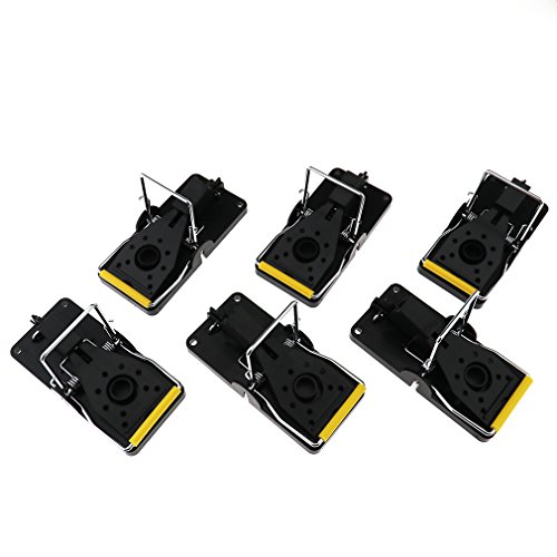 Preisvergleich Produktbild 6x Kunststoff Mausefalle Supersnap Tierfalle Mäusefalle Schlagfalle Mausefallen