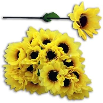Amazon.de: Sonnenblume im Topf Pflanze Sonnenblume Deko
