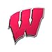 Produktbild Team ProMark NCAA Wisconsin Badgers Die Cut Farbe Automarke Emblem