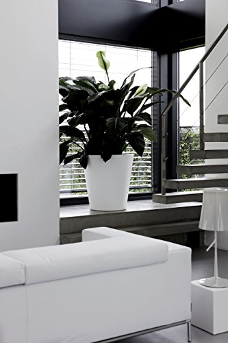 elho Pure Straight Round Pflanzgefäß 50cm – Weiss - 5