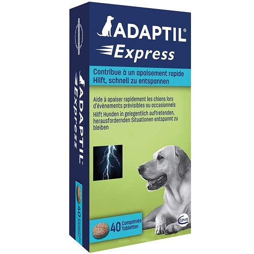 ADAPTIL Express Tabletten, 40 Stück, Ergänzungsfuttermittel zur Beruhigung
