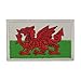 Produktbild COBRA Tactical Solutions Military Patch Wales Welsh Cymru Flag mit Klettverschluss für Airsoft/Paintball für Taktische Kleidung/Rucksack
