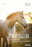 Stefan Heine Pferde-Quiz 2019 Wochenkalender - Tierkalender, Wandkalender - 23,7 x 34 by 