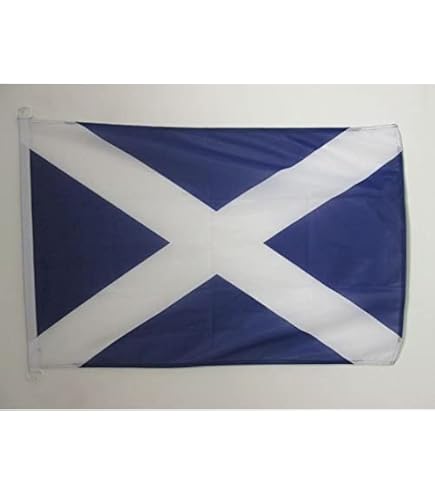 Wales Flagge 30 X 45 Cm – Polyester, Siebdruck, Wasser- & Sonnenbeständig, Mit Hohlsaum