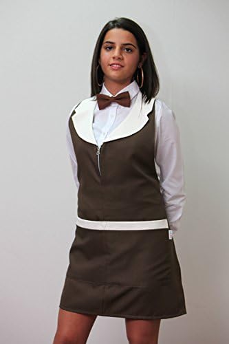 Women’s Zip-Up Barista Work Apron for Bars, Restaurants, Hotels, Waitressing, brown