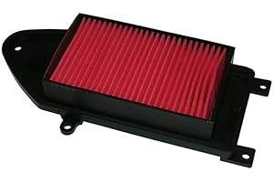 BCR COMPONENTS BCR HOKIO Filtro aria compatibile Kymco Agility R16 125/150/200cc elemento filtro d'aria aspirazione ricambio moto scooter Malaguti Ciak 125/150/200cc OEM 00117181 00162377 17211-KHB4-9000 6611003