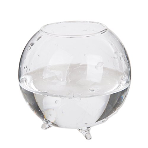 Generic Glas Hydroponischen mini Vase Kugel Mikro Landschaft DIY Flasche Terrarien Fisch Behälter 8cm - 7