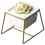 ③ 【ESTILO MINIMALISTA】:El Diseño Minimalista Es El Tono Blanco. La Sembradora Blanca Coincide Con El Marco De Hierro, Lo Harán Una Gran Decoración Para El Hogar. Sin Embargo, Debe Tener En Cuenta Que La Maceta Tiene Un Orificio De Drenaje En La Parte Inferior. Cuando Vuelva A Regar Las Plantas, Asegúrese De Que El Agua Se Filtre Por La Parte Inferior