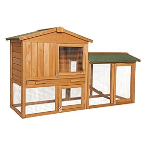 Corral para Animales pequeños de Primera Calidad - Corral de Madera y vallado Para Conejos, liebres y cobayas