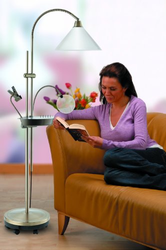 Daylight Company E27 (Edison Screw) 20 Watt Ultimate Floor Lamp, Antique