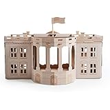 Poopy Cat Landmarks - White House