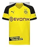 Borussia Dortmund Trikotkalender - Kalender 2019 by 