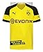 Borussia Dortmund Trikotkalender - Kalender 2019 by 