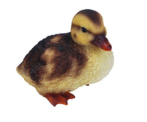 Vivid Arts Ltd Cuclillas de Pato