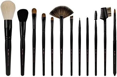 Blush Professional 12 Piece Makeup Brush Set