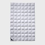 Billerbeck 5541880002 S02 Superlight - Edredón, 155 x 220 cm