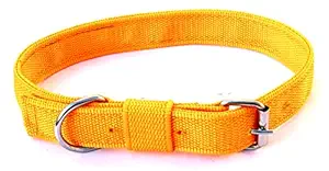 S.Blaze 1 inch Yellow Color Premium Strong Nylon Dog Collar