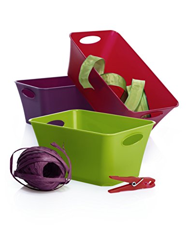 Rotho 1794801100 Design Aufbewahrungsbox Living aus Kunststoff PP, universell einsetzbar, 1.5 L, circa 18 x 13.5 x 9 cm, weiß - 2