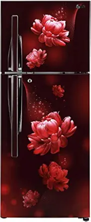 LG 260L 3 Star Frost-Free Smart Inverter Double Door Refrigerator (GL-T292RSCX, Scarlet Charm, Convertible with Door Cooling+)