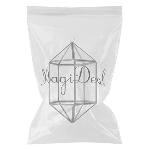MagiDeal Modern 18-Seitig Hängeblumentopf Glas Geometric Blumentopf Blumen Pflanzen Vase Box Terrarium für Haus Wohnzimmer Garten Deko - 2