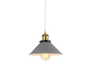 PETITES ECREVISSES Lampadario a sospensione Vintage industriale, Moderno Lampada da soffitto E27 Plafoniera in Metallo Ø22cm Grigio Paralume per Sala Cucina Camera da Letto