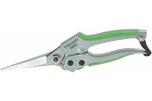 Freund-Victoria 1030645 Sécateur 2960, Argent/Vert