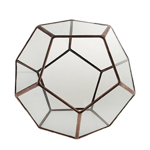 Mini Glas Terrarium Geometrisches Glas Sukkulente Pflanzen Pflanzgefäß Deko – 15 x 15 x 15cm - 4