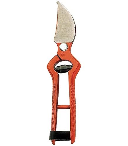 Sécateur De Récolte Bellota INOXGR25MB - Lame Acier Inox Pour Fruits Et Vignes - Manche Ergonomique
