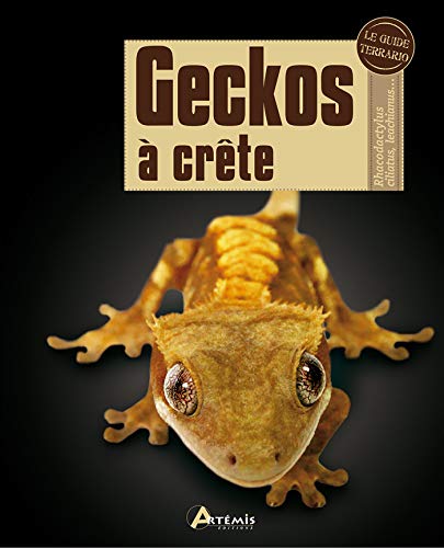 GECKOS A CRÊTE