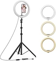Tygot 10 Inches Big LED Ring Light for Camera, Phone tiktok YouTube Video Shooting and Makeup, 10" inch R